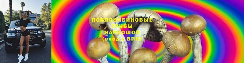 Псилоцибиновые грибы MAGIC MUSHROOMS  как найти   hydra ссылки  Горячий Ключ 